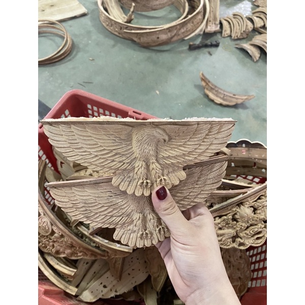 Bộ chân lồng khuyên