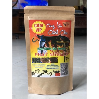 Cám chim Vip căng lửa chích choè - Cám chim gia truyền Phát Nguyễn