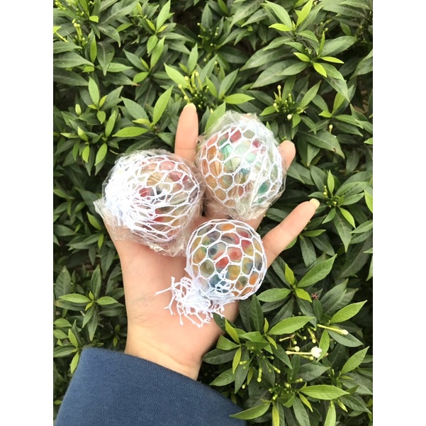 Bóng slime trứng lưới hạt nở