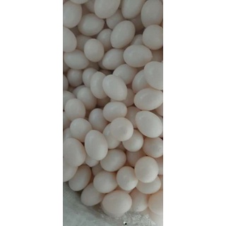  trứng giả loại 1 dùng cho chim bồ câu gà tre  set 10 trứng 15 trứng  