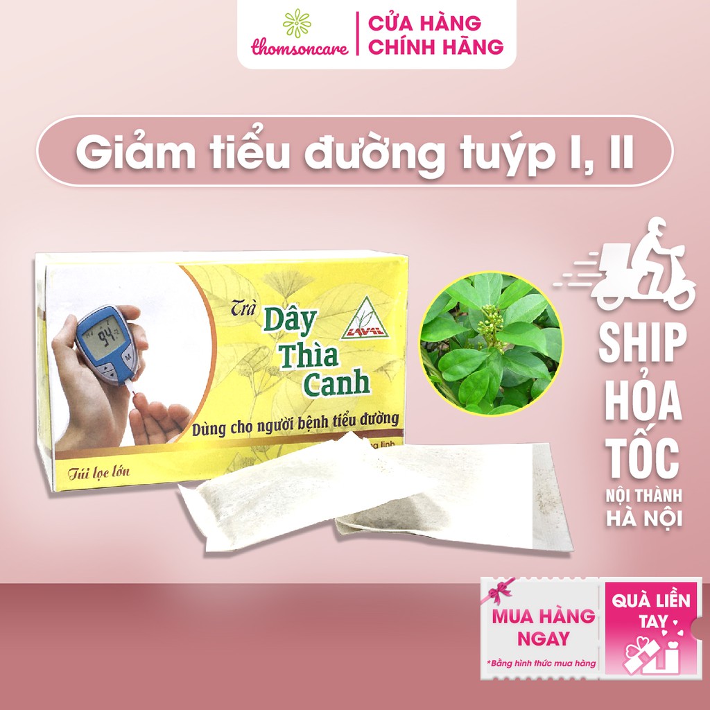 Trà túi lọc Dây Thìa Canh Lava 30 túi dành cho người tiểu đường type 1, 2 giúp làm giảm hạ đường huyết trong máu