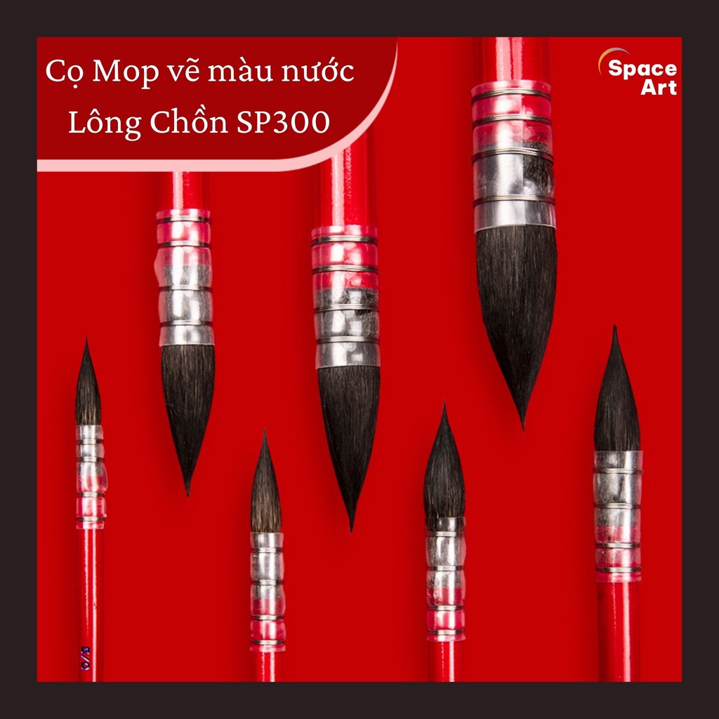 Cọ MOP Vẽ Màu Nước Lông Chồn Space Art SP300