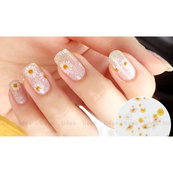 Giấy Giả Hoa Khô / đựng trong hộp nhựa trắng đục / Phụ Kiện Nail