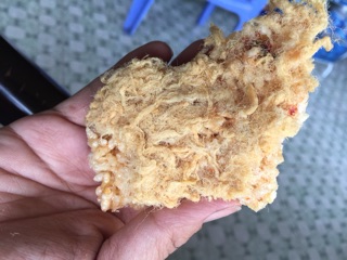 Combo 6 cơm cháy chà bông siêu giòn