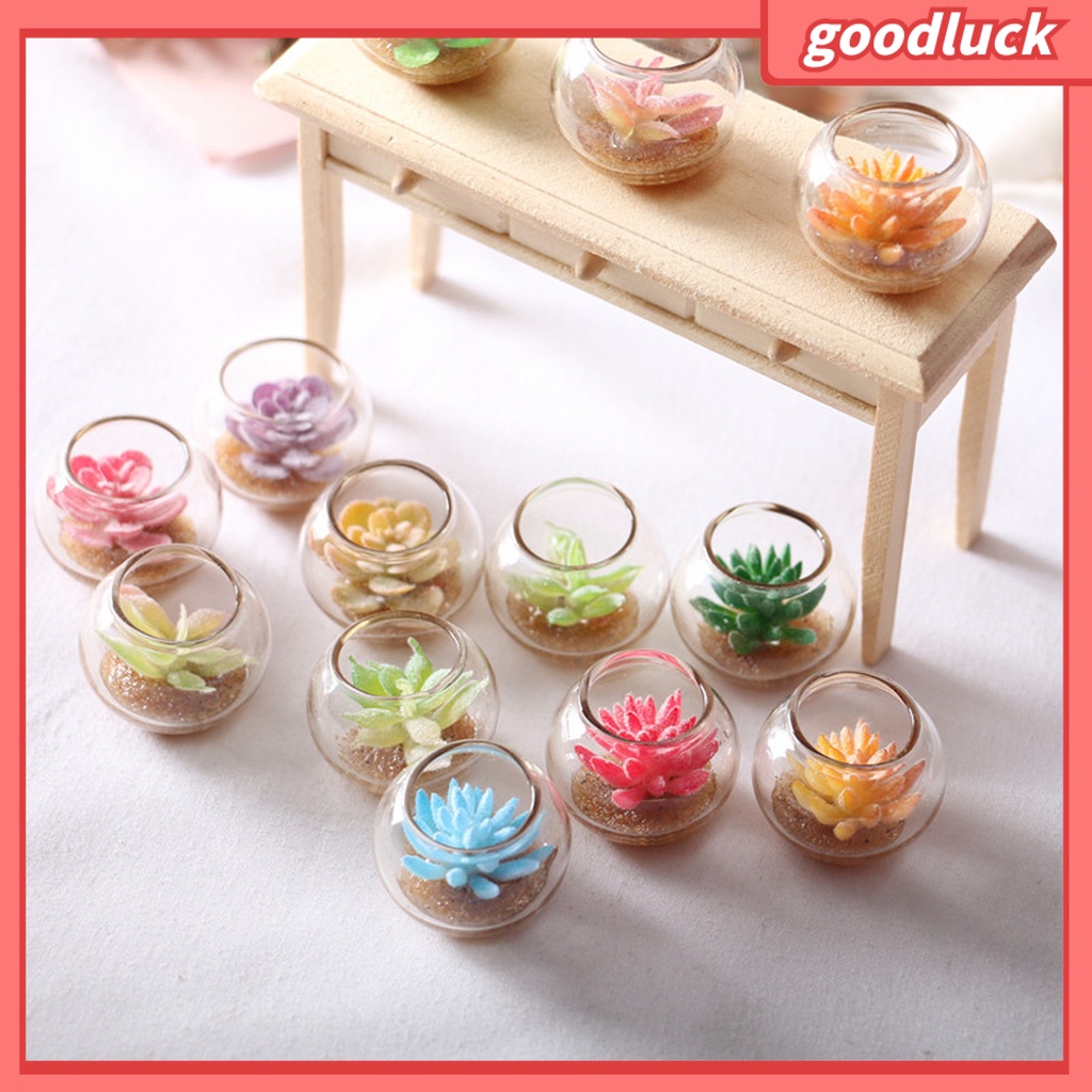 Đồ trang trí chậu cây mini màu sắc ngẫu nhiên trang trí bể cá