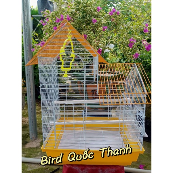 Lồng TQ 2 mái nuôi yến phụng, vành khuyên..