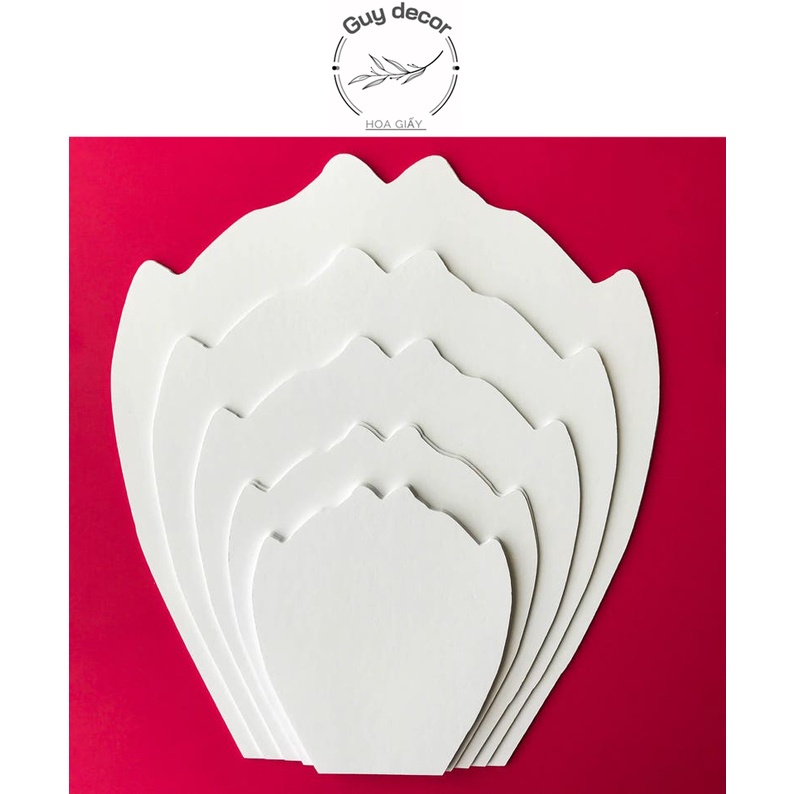 Combo Tất cả Bộ cánh mẫu và lá làm hoa shop đang có