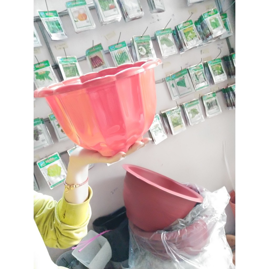 Chậu treo hình bí rộng