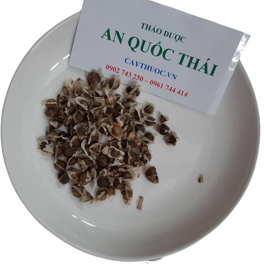 Hạt Chùm Ngây Sấy Khô 500g [NGUYÊN CHẤT] Hạt Vạn Năng Giúp Khỏe Mạnh, Làm Đẹp, Ngủ Ngon