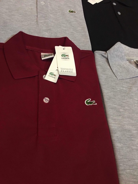 Combo 6805 áo phông Lacost dư xịn