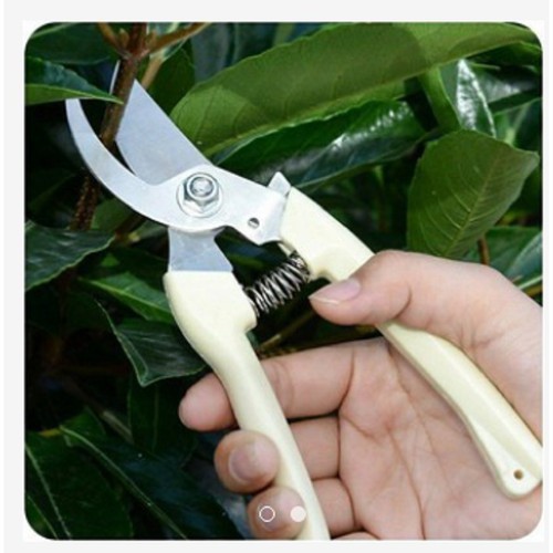 Kéo Cắt Tỉa Cây Cảnh Chuyên Dụng-gx247