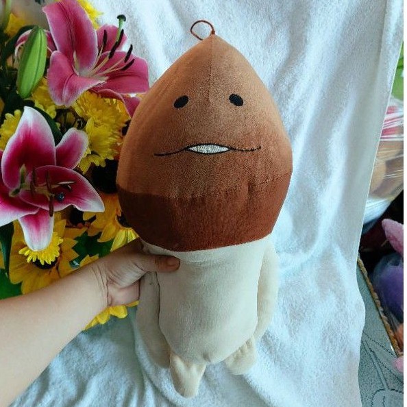 Gấu bông cây nấm