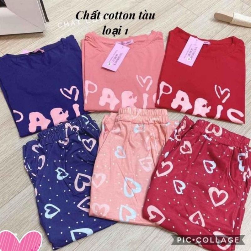 bộ đồ mặc nhà cotton co dãn | BigBuy360 - bigbuy360.vn