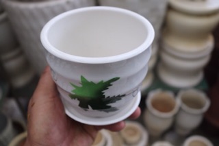Chậu sứ nhỏ trồng cây
