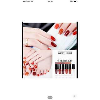 Combo 6 lọ nước sơn móng tay