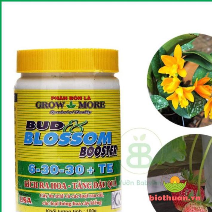 Phân Bón Lá 6-30-30 Growmore Kích Hoa - Phát Triển Bộ Rễ