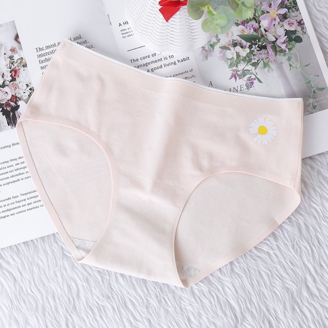 Quần Lót Cotton Ép Không Viền Hoa Cúc Hotrend 287