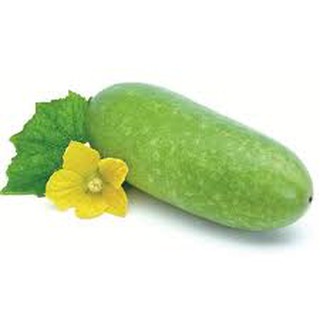 Gói 10 hạt giống bí đao xanh