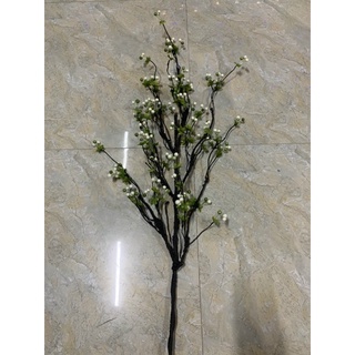 Cành Chery cổ trang trí
