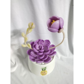 Chậu sen đá đất sét đường kính 10cm