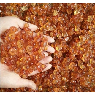 Nhựa Đào(Lệ Đào)
