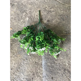 Hoa điểm cành giá rẻ