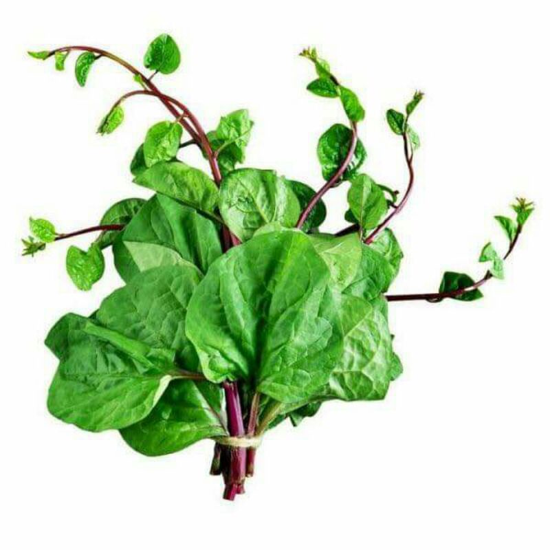 100H _# Hạt_ giống_ rau _mồng_ tơi_ tím