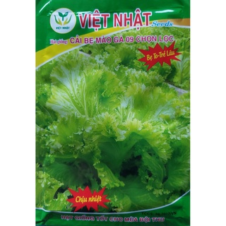 Hạt giống cải bẹ mào gà 09 chọn lọc _ kl. 20 gr