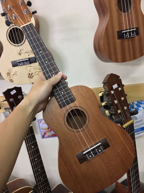 Ukulele tuyển chọn