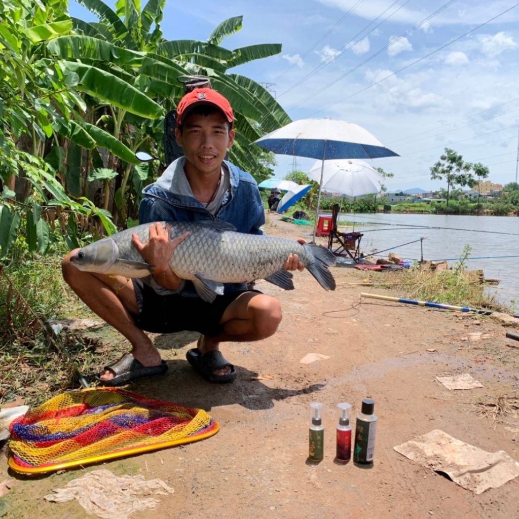 Mồi câu cá trắm cỏ, hương liệu  trắm đen,Tinh mùi trắm trắng , hương liệu câu cá trắm cỏ kim long- Vietnam Fishing