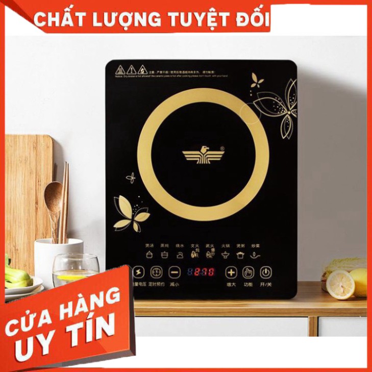 Bếp Từ Cảm Ứng EAGLE Mặt Kính Chịu Lực, Công Suất Lớn ,Cảm Ứng Nhạy Rất Dễ Sử Dụng [FreeShip Xtra]