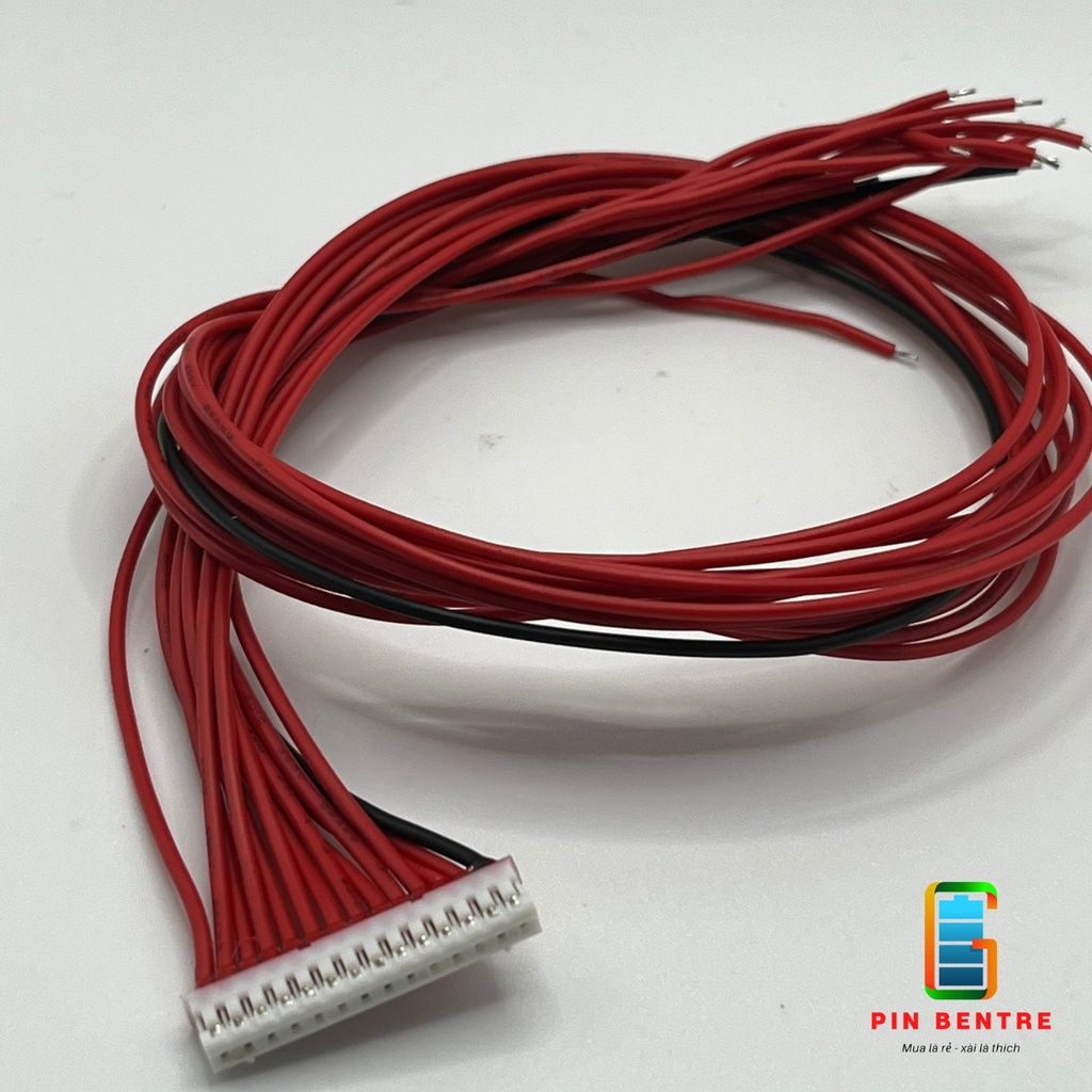 Mạch 13S 48V 20A 30A 40A Daly cân bằng và bảo vệ Pin cho xe điện