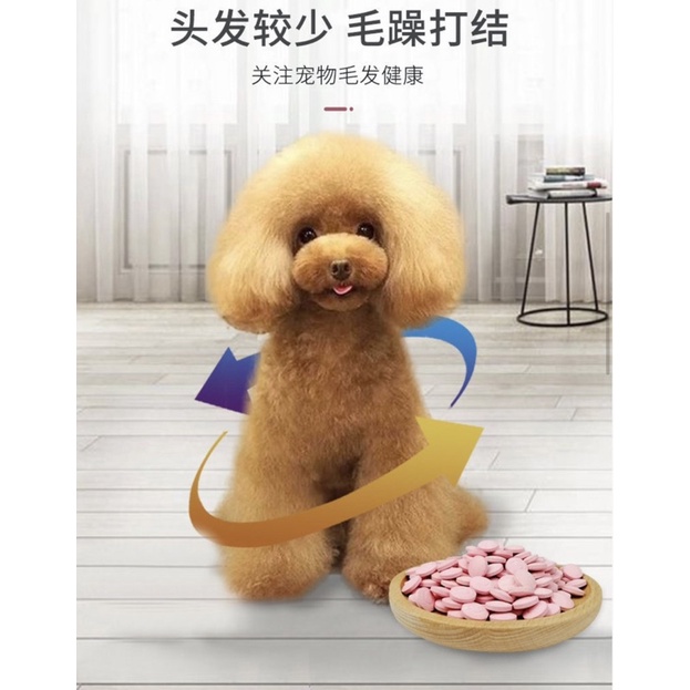 Vitamin cho chó Borammy Viên rong biển dưỡng lông cho mèo bổ gan thận NourseVietnam BM04