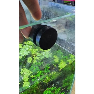 Cọ bể kính nam châm mini