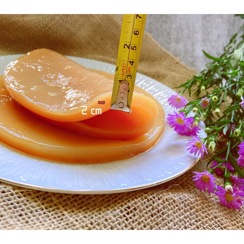 Nấm thuỷ sâm Kombucha