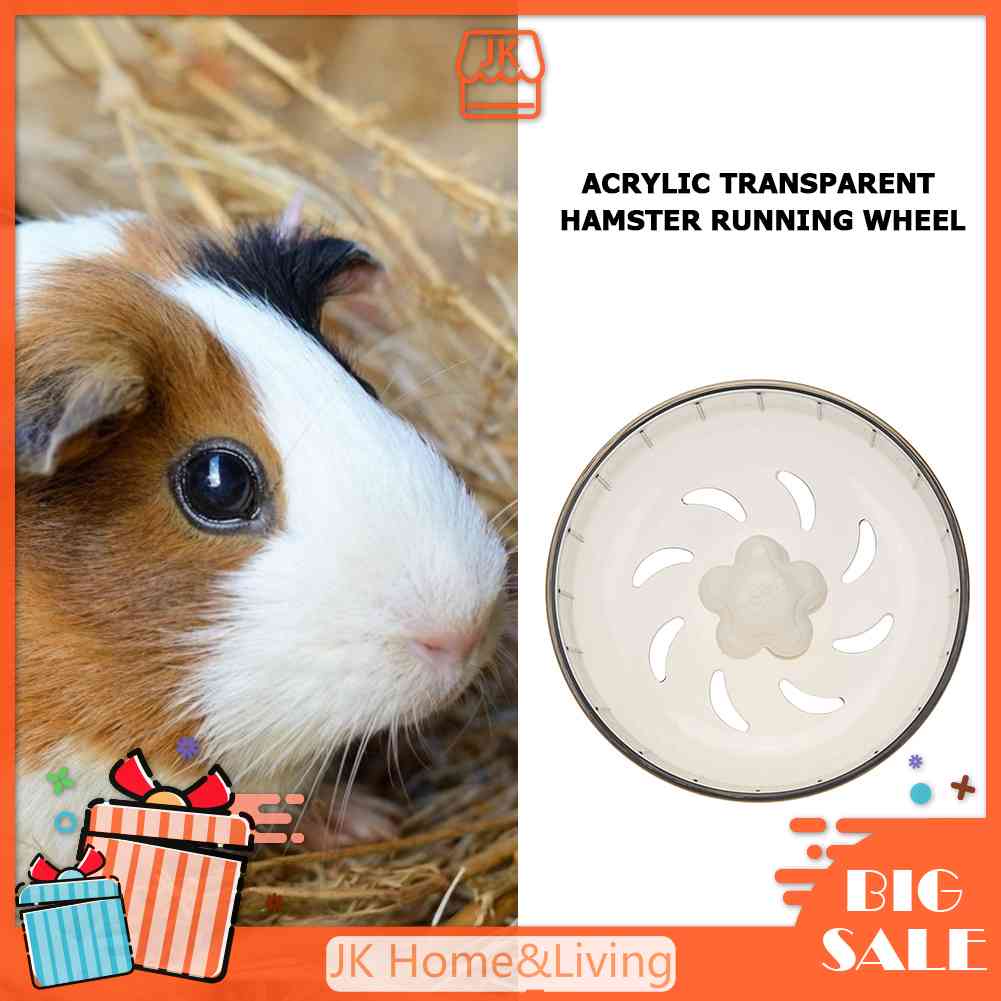 Bánh Xe Chạy Trong Suốt Cho Chuột Hamster