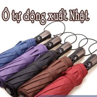 Ô tự động gấp gọn 2 chiều đóng mở loại 1