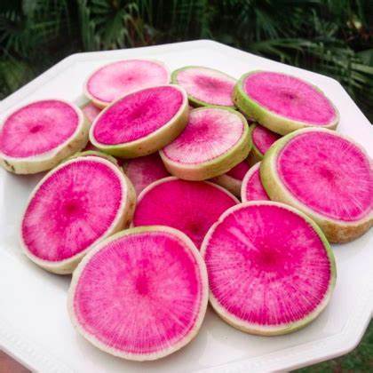 (Gói 100 Hạt)Hạt GiốngCủ Cải Ruột Hồng  F1 Loại dễ trồng kháng sâu bệnh năng suất cao