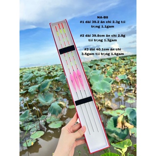 Bộ phao câu cá