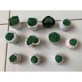Chậu hoa sứ mini