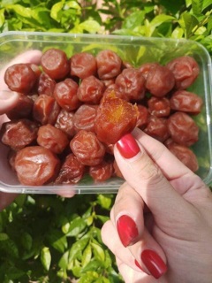 Ômai mơ dẻo xuất nhật