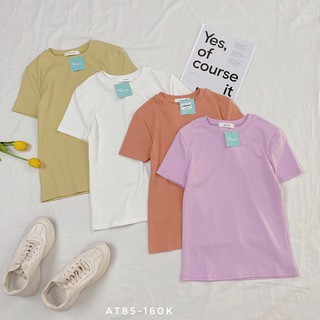 Áo thun trơn Nhiên vintage basic cổ tròn AT85