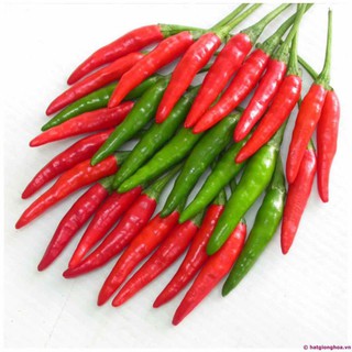 Hạt ớt chỉ thiên siêu cay ớt hiểm F1 - gói 0.3 gram