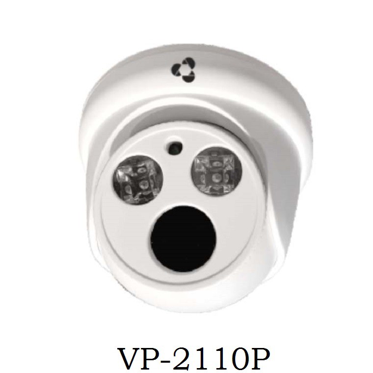 Camera IP Dome 2MP Vantech VP-2110P