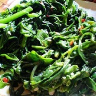 Chậu cây sâm đất cây rau, cây thuốc.