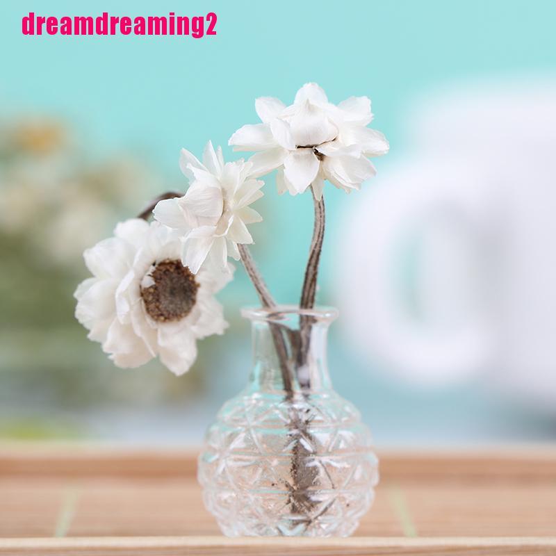 Bộ 2 Bình Hoa Thủy Tinh Trang Trí Nhà Búp Bê Xinh Xắn