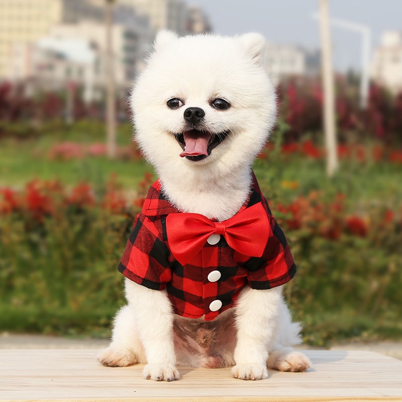 Áo Cho Thú Cưng Cỡ Nhỏ / Trung BìNh / VừA