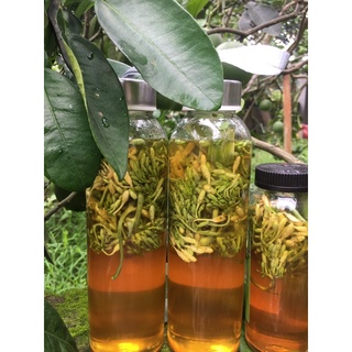 Hoa đu đủ đực Ngâm mật ong
