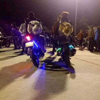 Balo Đầu Hổ Trắng - Vàng cao cấp