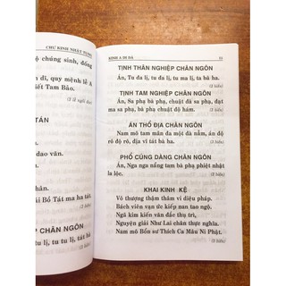 Sách - Chư Kinh Nhật Tụng